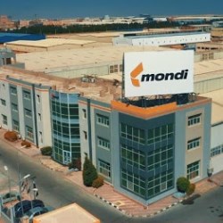 Cementing the deal: Mondi acquires two paper bag lines and signs exclusive supplier agreements with leading cement producers in Egypt